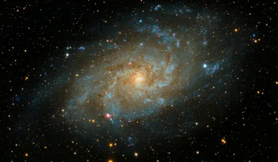 Photo by Guillermo Ferla on Unsplash