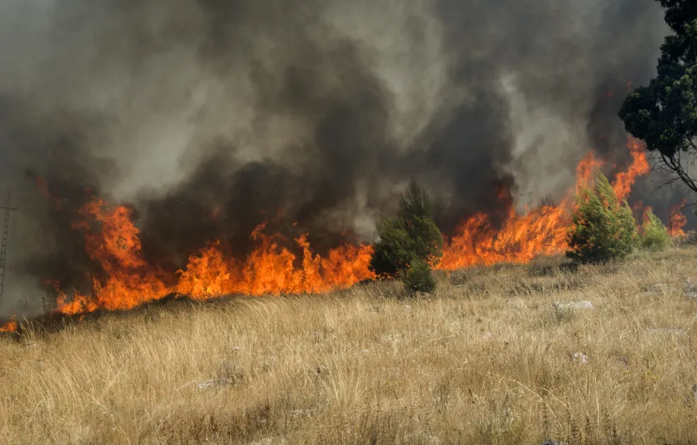 pozar na brdu gorica