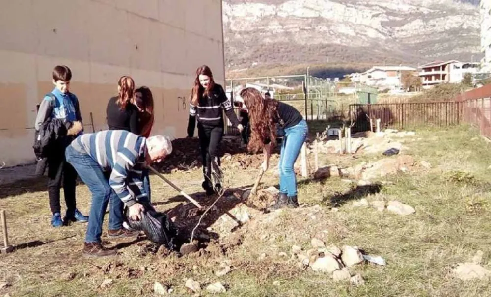 Za godinu formiran 51 park sa 701 maslinom