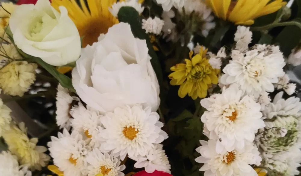 Trikovi koji će učiniti da va&scaron; dom izgleda rasko&scaron;nije