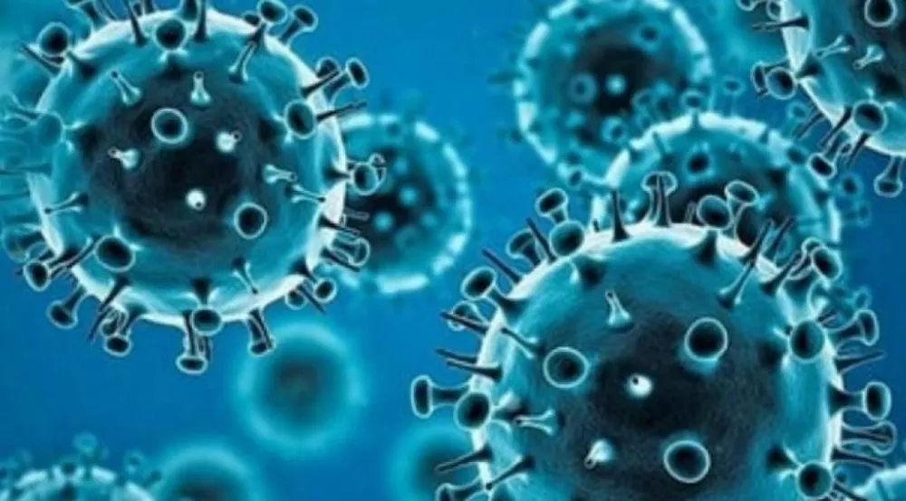 Britanija naredila karantin zbog moguće epidemije