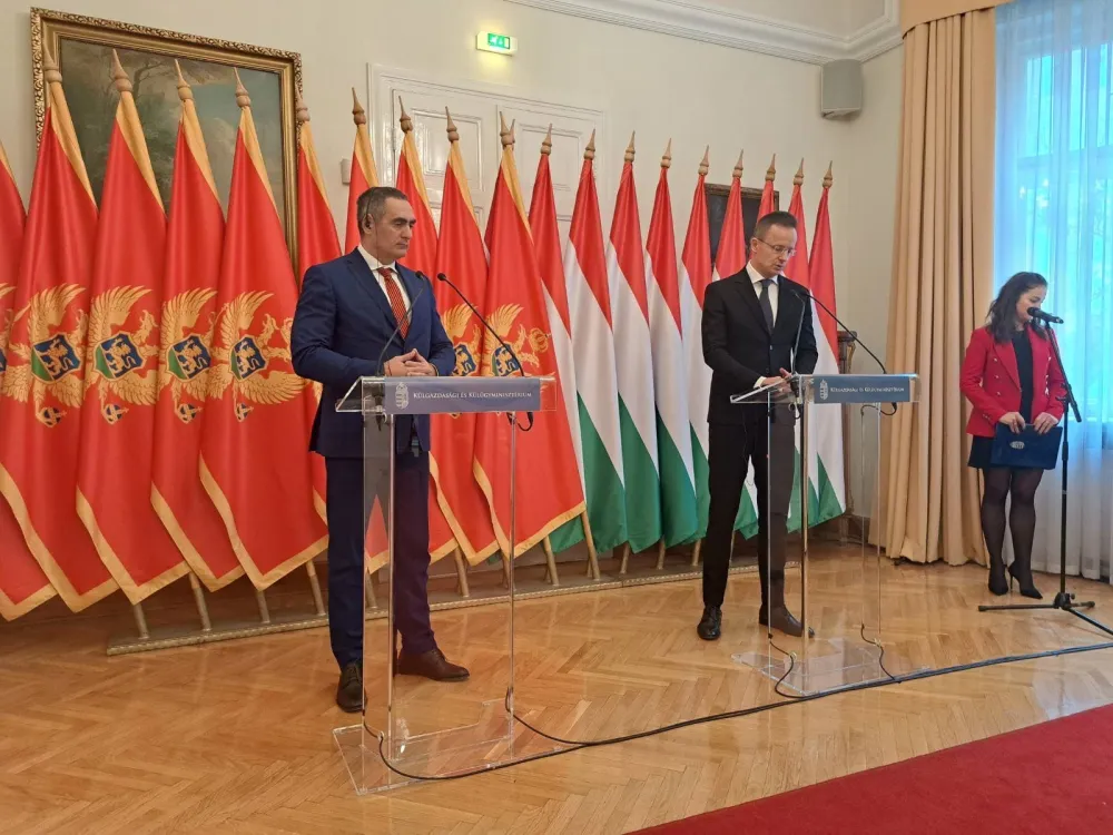 Damjanović u Mađarskoj