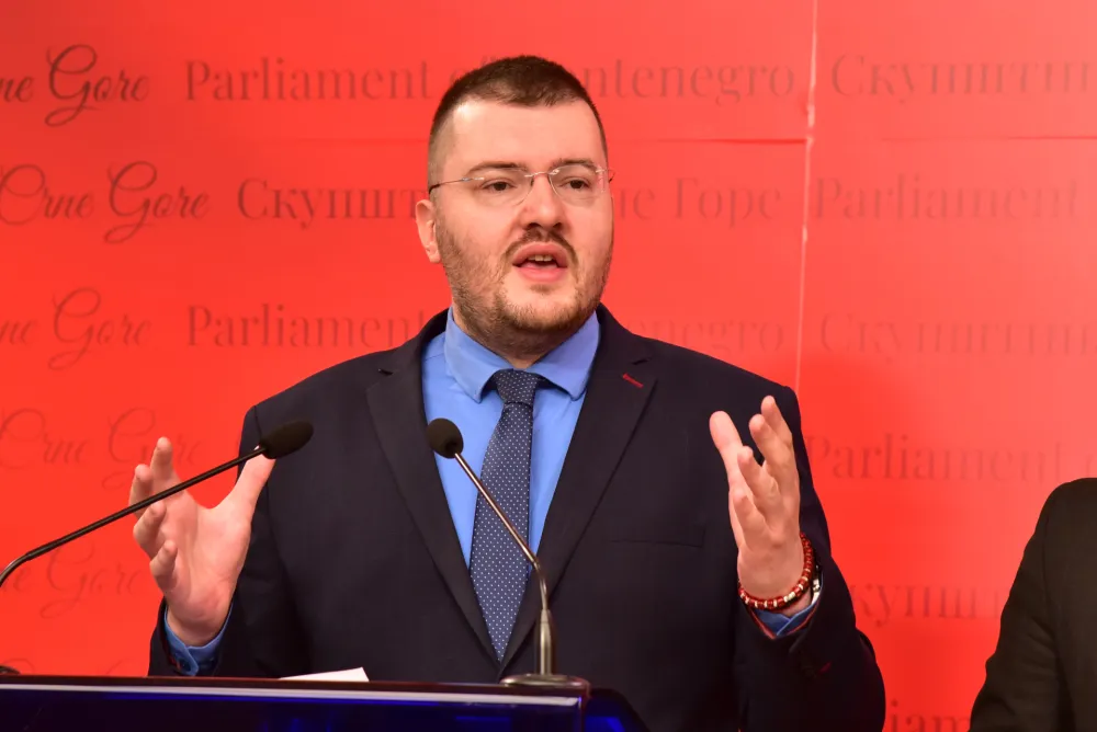 Momo Koprivica