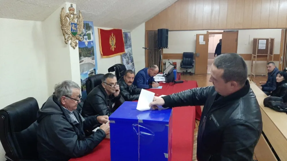 Izbori u &Scaron;avniku