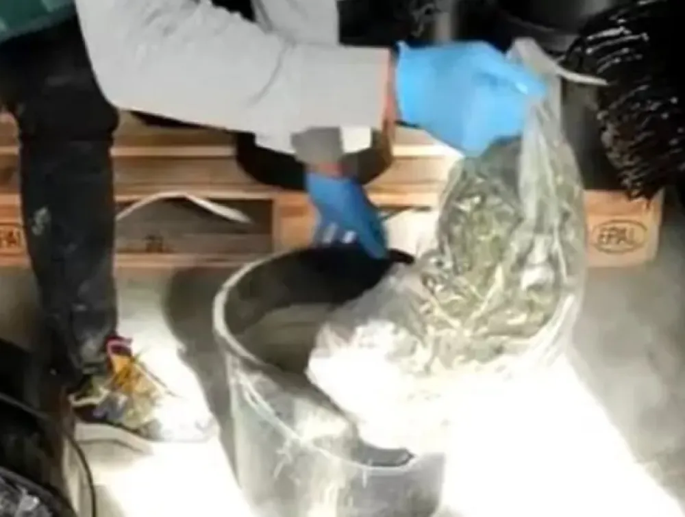 (VIDEO) Holanđanin &scaron;vercovao 170 kilograma droge