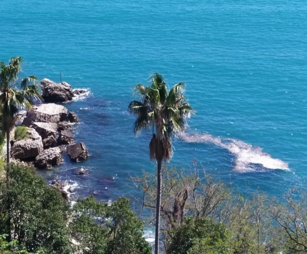 U Herceg Novom 3,9 hiljada turista