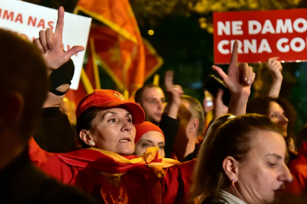 DPS protest, dps protest, zakon o predsjedniku, DPS, Komite