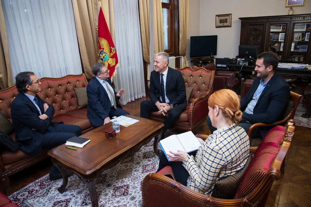 Žuguć sa Timonijeom