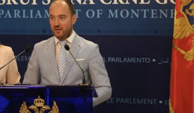 Stanić: Od &ldquo;nula eura&rdquo; do desetina miliona minusa za ToMontenengro