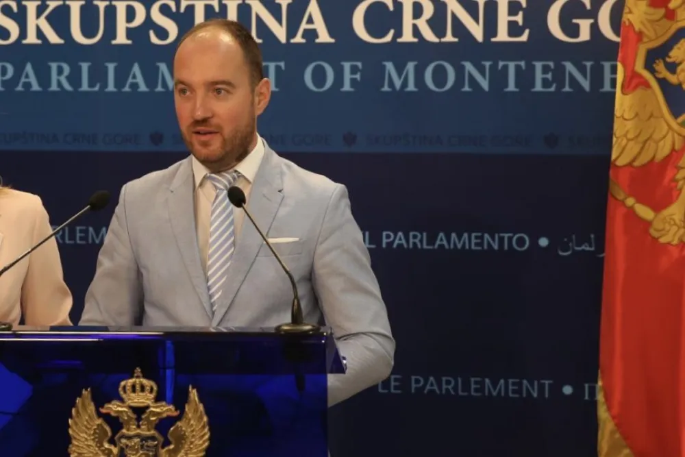 Stanić: Od &ldquo;nula eura&rdquo; do desetina miliona minusa za ToMontenengro