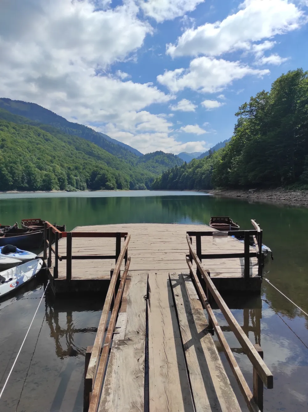 Biogradska gora od sjutra zatvorena za posjete