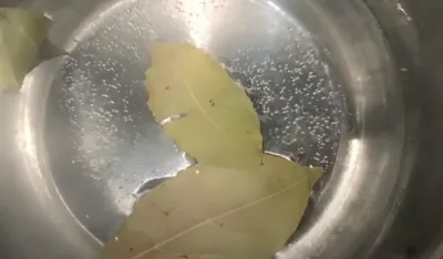 Čaj od lovorovog lista pomože kod ka&scaron;lja