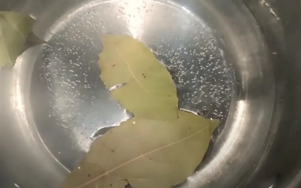 Čaj od lovorovog lista pomože kod ka&scaron;lja