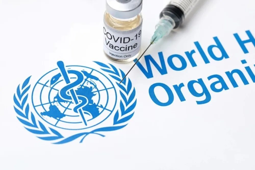 szo korona virus 