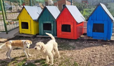 Све мање мјеста у склоништу на Диздарици
