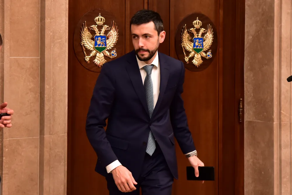 Danijel Zivkovic, Skupstina Crne Gore