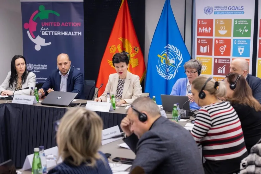 Mina Brajović, međunarodni sastanak o opravljanju opasnim materijama