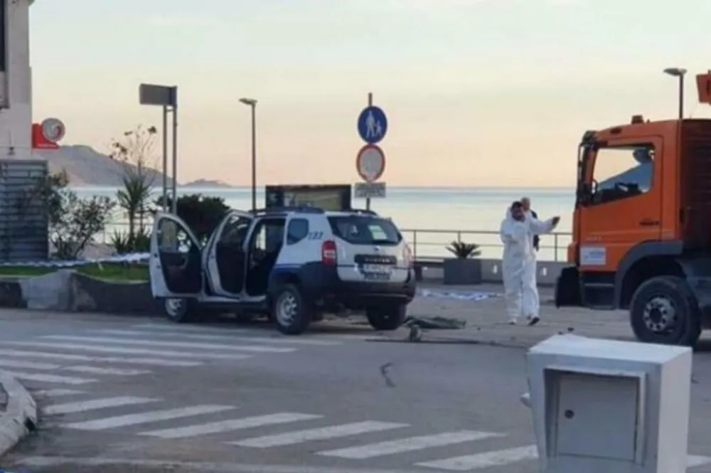 UBISTVO POLICAJCA LEKOVIĆA (DAN)