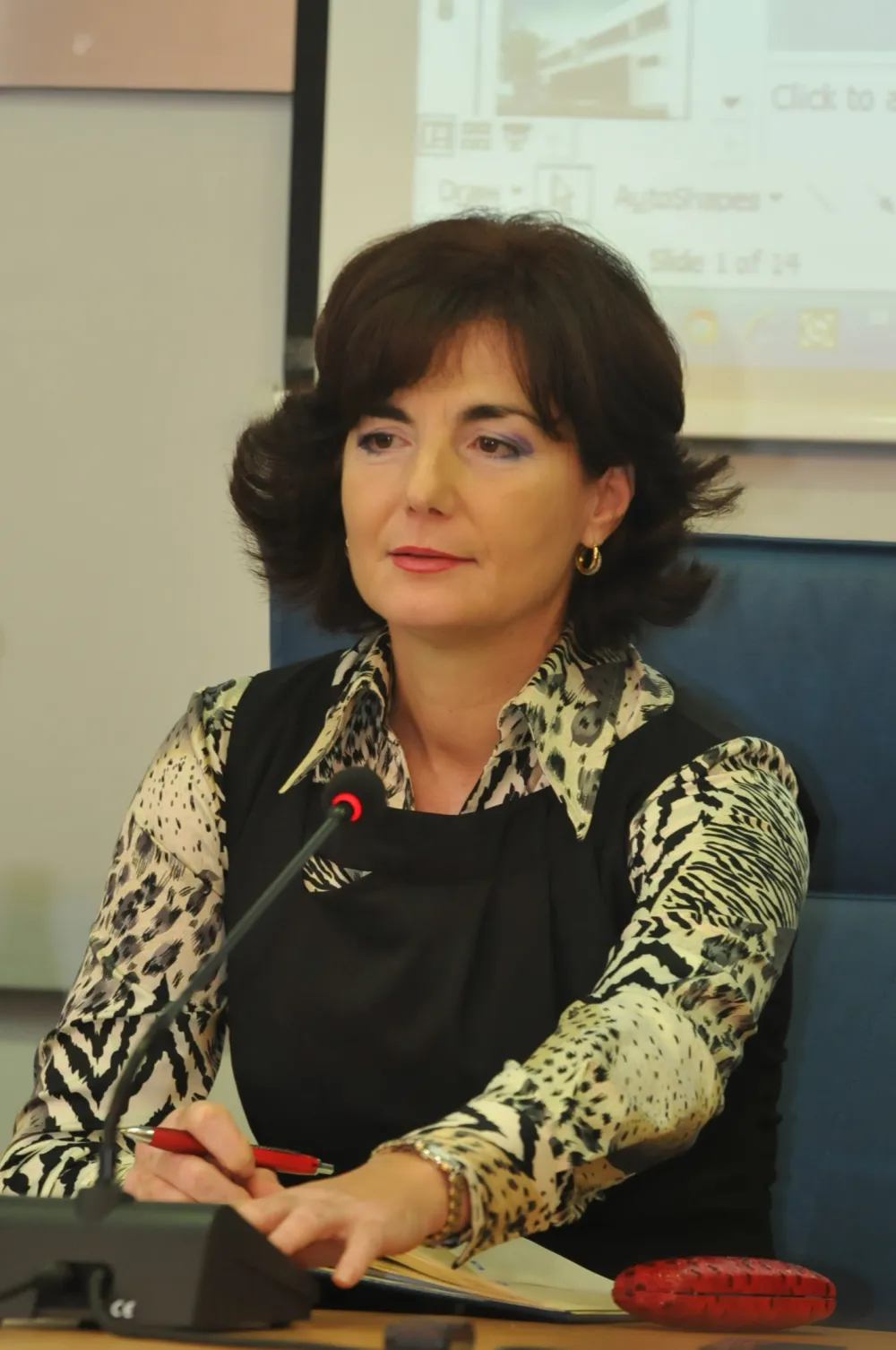 Снежана Мијушковић