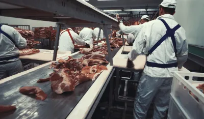 U &scaron;kolama nema obrazovnog programa za broјne tražene zanate: Rad kasapa skuplji od mesa