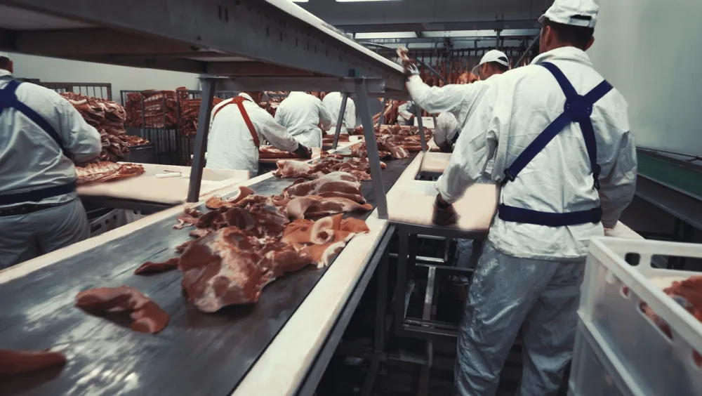 U &scaron;kolama nema obrazovnog programa za broјne tražene zanate: Rad kasapa skuplji od mesa