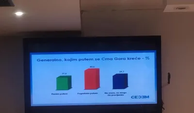 Istraživanje CEDEM-a