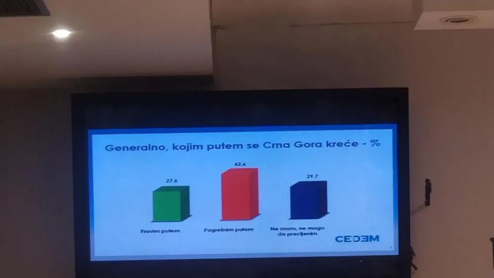 Istraživanje CEDEM-a