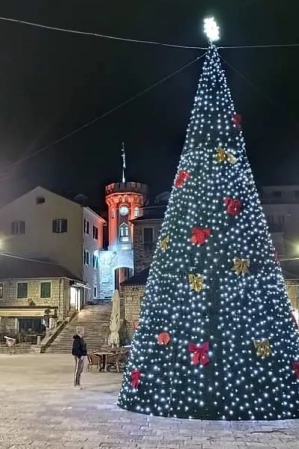 Jelka krasi centar grada
