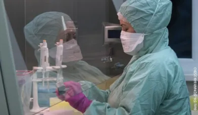 Европа на удару новог соја вируса