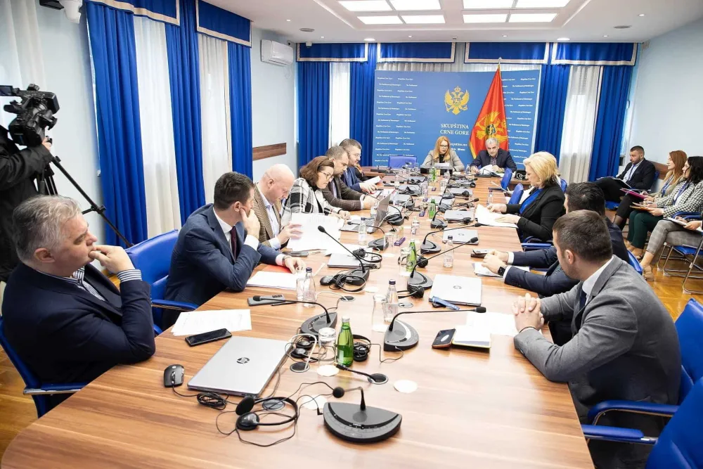 Poslanici DF-a podiјeljeni oko odbora povјerenika na zakonodavnom odboru