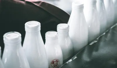 Photo by Mehrshad Rajabi on Unsplash