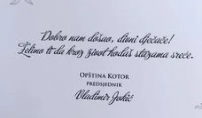 Vladimir J Jokić, Facebook