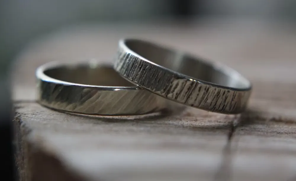 Ove namirnice vraćaju srebru sjaj