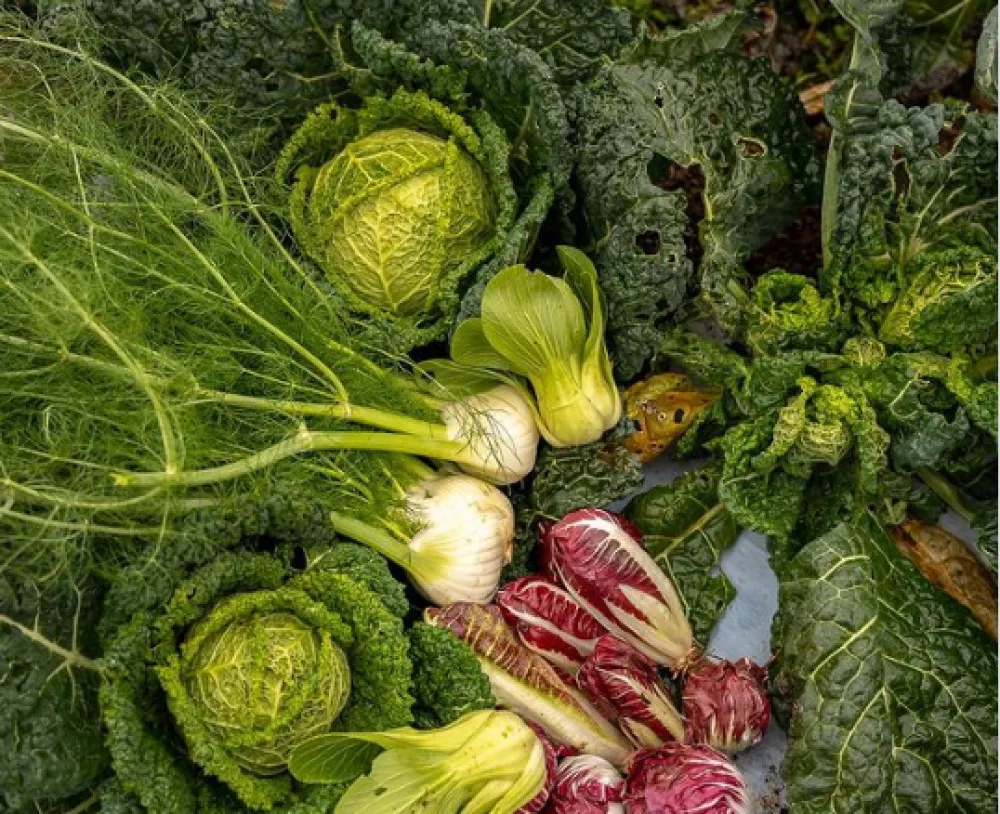 Jedan od gastro trendova