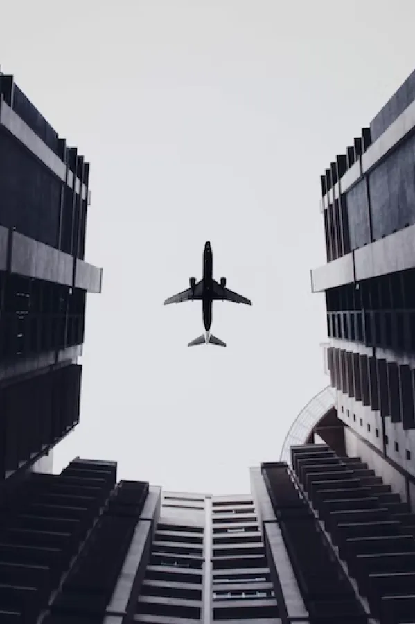 LETJELICA, ILUSTRACIJA