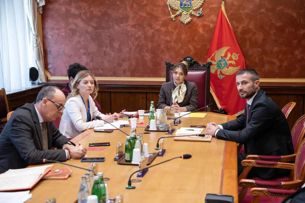 sjednica ustavnog odbora, ustavni odbor, nastavak 28 sjednice ustavnog odbora
