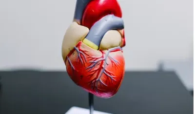 Srčanom udaru prethode dva simptoma