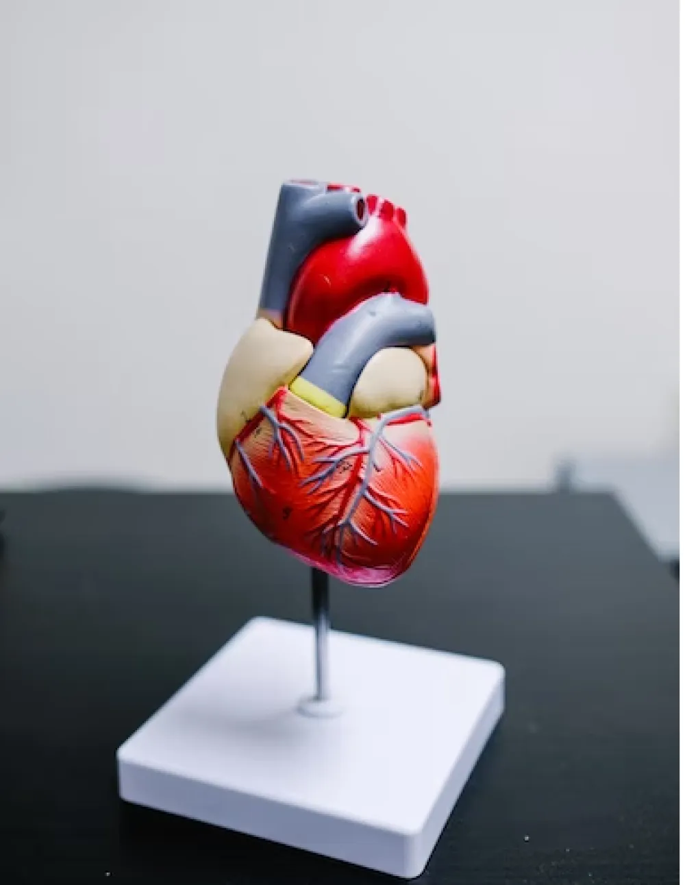 Srčanom udaru prethode dva simptoma