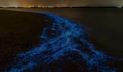(VIDEO) Neobični fenomen na Maldivima
