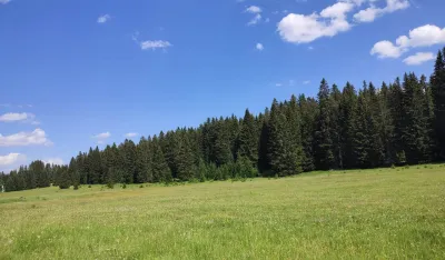 Шумски сортименти пуниће буџет