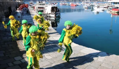 Očekuju se rekordne posjete Prazniku mimoze