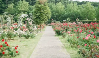 Naučite vrtlariti prema provjerenoj metodi: Pratite kretanje Mjeseca