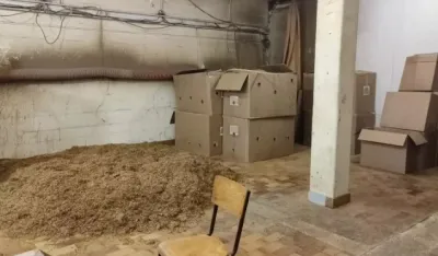 Europol: Zaplijenjeni duvanski proizvodi vrijedni17 miliona eura