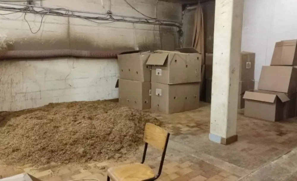 Europol: Zaplijenjeni duvanski proizvodi vrijedni17 miliona eura