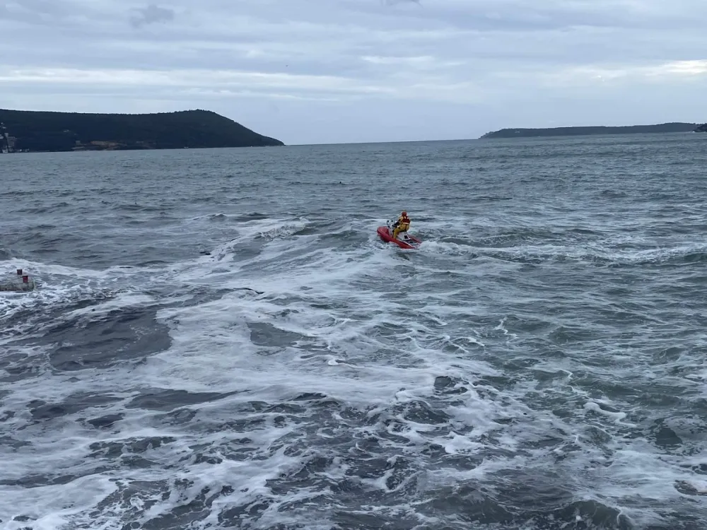 FOTO: Sa potrage, UPSUL