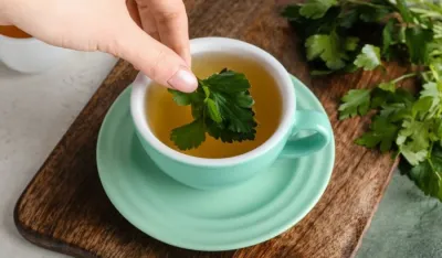 Foto: Pixel-Shot/Shutterstock<br>