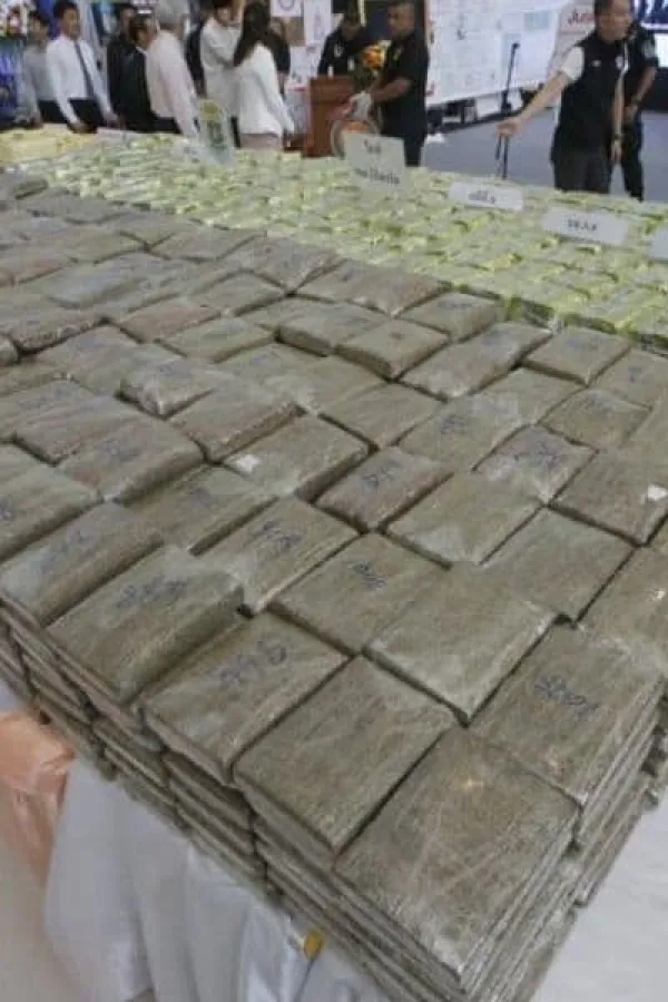 фото интернет