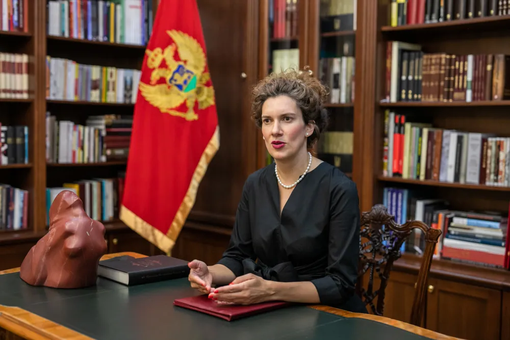 Vlaović: Stvaranje sigurnog ambijenta za rad novinara mora da bude prioritet