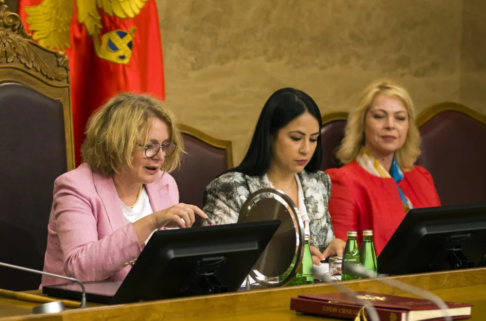 sastanak parlamentarne vecine, vanredna sjednica skupstine