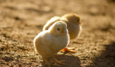 Photo by Karim MANJRA on Unsplash